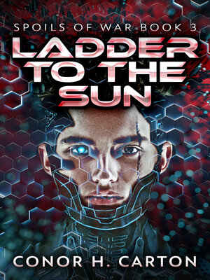cover image of Ladder to the Sun